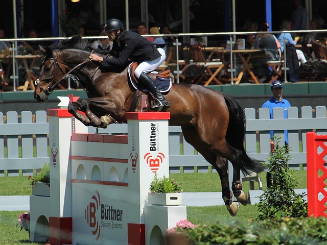 即便范德萨 即便范德萨