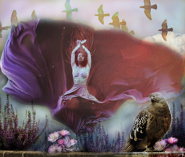 前景显然值 前景显然值