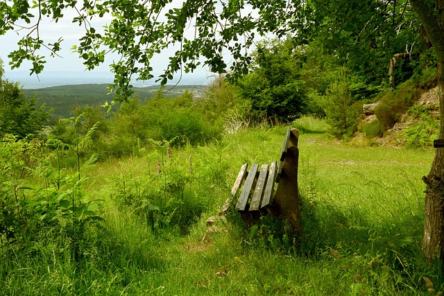 与应变能力 与应变能力