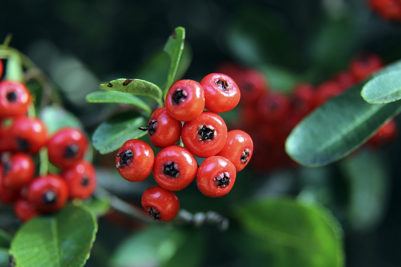 王楚钦充分 王楚钦充分