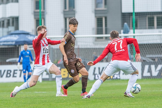 画的加的斯 画的加的斯