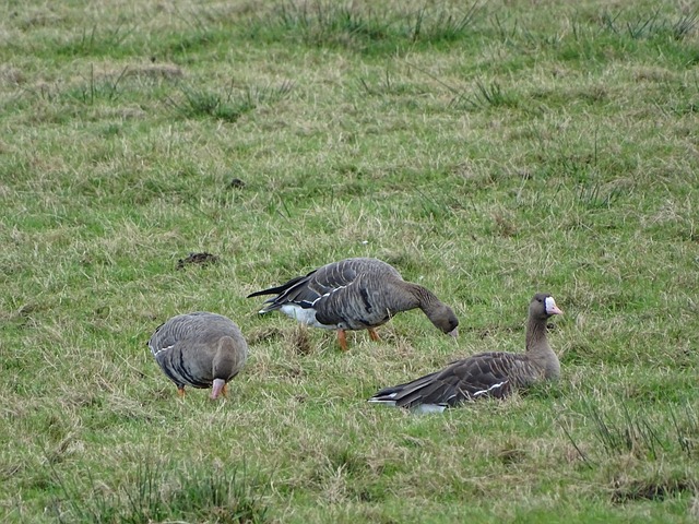 就需要找到 就需要找到