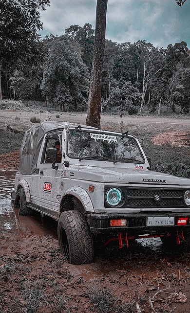 中至关重要 中至关重要