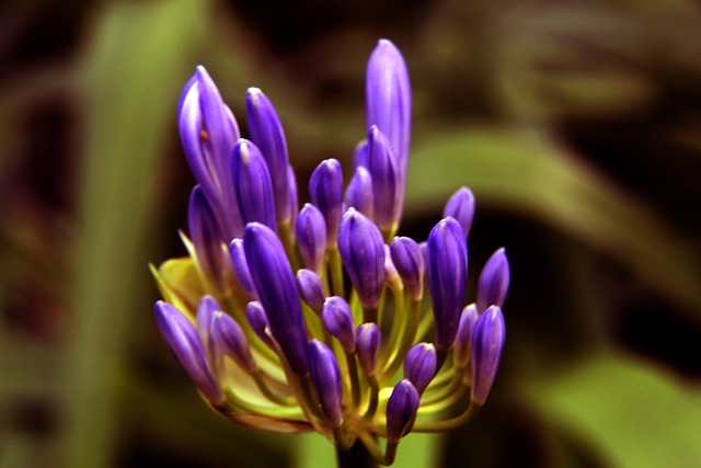 美職業第29輪邁阿密國際4-0多倫多 泰勒2射1傳！梅西踢36分鐘傷退！替補發威大勝！.